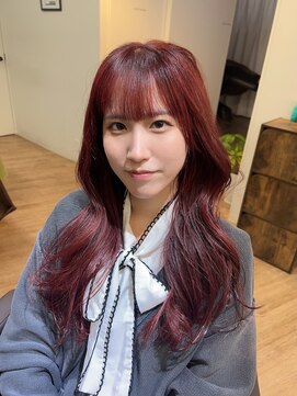 ジエクト ヴィシア(The Ect VIXIA) レッドブラウン/ボルドー/チェリーレッド／韓国風