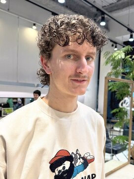 マレットウルフ　カーリーヘア