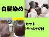 白髪染め+カット+お悩み解決トリートメントケア