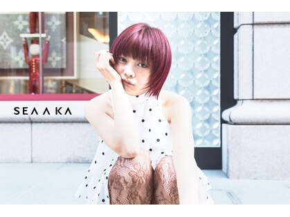 シアカ(SEA A KA)の写真