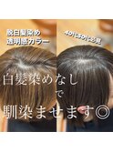 40代50代/銀座/くびれレイヤー/脱白髪染め/ぼかし/野川