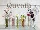 キュボス(Quvoth)の写真