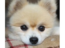 サン美容室の雰囲気（MAYがお出迎え♪）