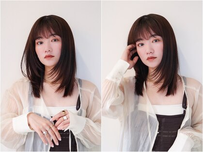 シスタ(SISTA)の写真
