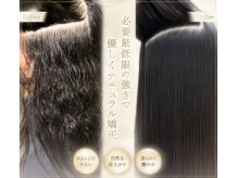 キニ(KINI)