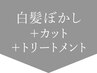 ↓↓ここから白髪ぼかしトリートメントメニュー↓↓【押さないでください】