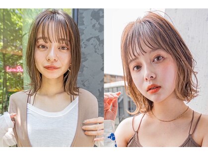 サングース(Sungoose)の写真