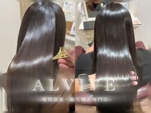 アルビーブ(ALVIVE)