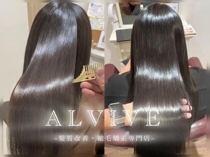 アルビーブ(ALVIVE)の写真