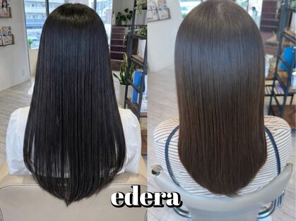 エデラ グランディ オーソ(edera Grandi-oso)の写真