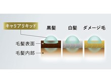 プレトワカラーの魅力2 カラー特有のニオイにも配慮【キャリアリキッド処方】