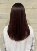 レッドブラウン/レッド/ストレート/ブラウンカラー