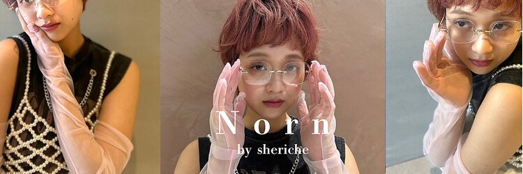 ノルン バイ シェリッシュ(Norn by sheriche)のサロンヘッダー