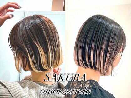 サクラ オモテサンドウ(SAKURA)の写真