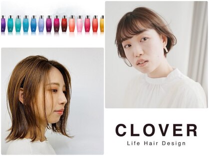 クローバー(CLOVER)の写真