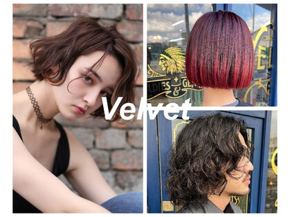 ベルベット(Velvet)の写真