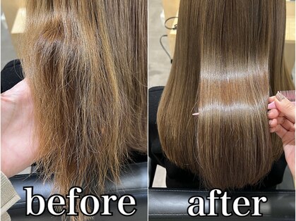 カイル(kyle)の写真