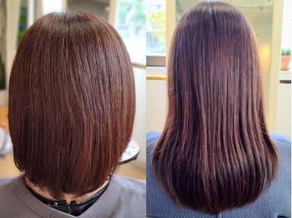 ブルーミングヘアーの写真