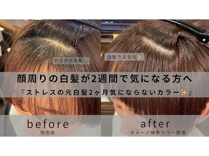ヘアー ルクス(hair Lux)の写真