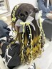 ☆6時～11時半 ライブ・お花・リボン・ハートetc特殊ヘアセット￥5,000☆