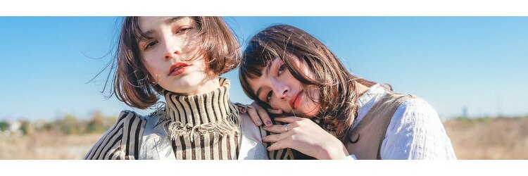 ノイス(noyce)のサロンヘッダー