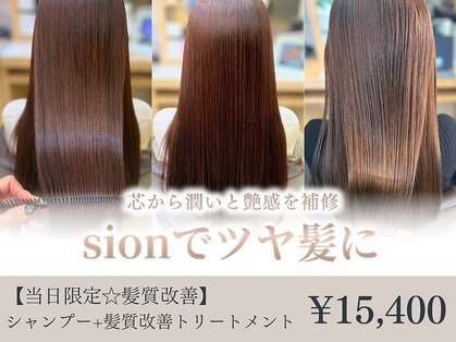 シオン(sion)の写真