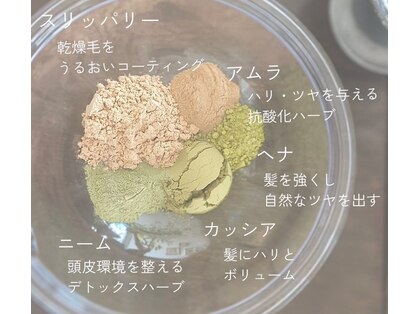 ナギ(Nagi)の写真