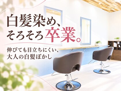 イロ 成田(iLo)の写真