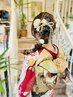 ≪特別な日に欠かせない着物!!≫着付け（振袖）+ヘアセット