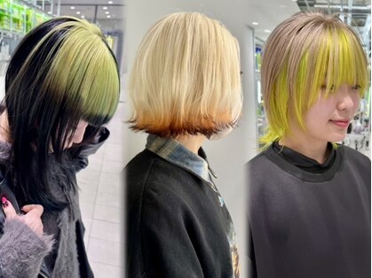 ノラ シンディ(NORA CYNDY)の写真