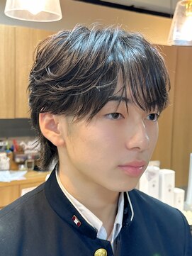 アリカ(arika) シースルーフェザー◎