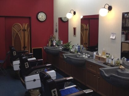 こきんちゃんの写真