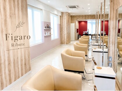 フィガロリビュート(figaro Ribute)の写真
