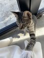 ティンク 大船(Tink)&nbsp;実家で猫を飼ってます！犬も大好きです。