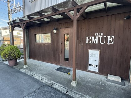 エミュー(EMUE)の写真