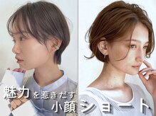 バサ 新所沢店(BASSA)の雰囲気（魅力を惹きだす丸みショート◎）