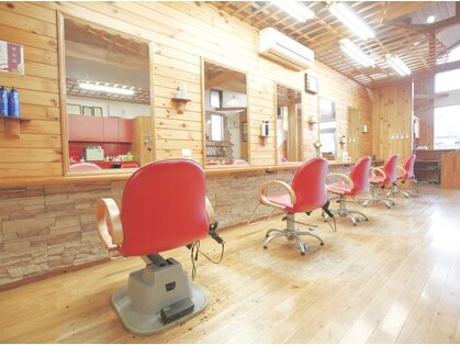 チャウチャウ(Chau Chau)の写真