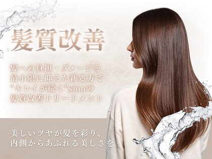 シオン(sion)の写真