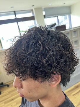 スウェル 柏店(Swell) ちょいプードルパーマ [柏駅東口/MEN'Sサロン/メンズパーマ]