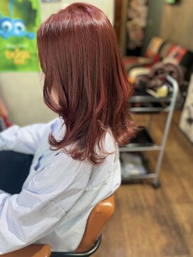 ヲタクに美容室は難しい。 ブリーチなしダブルカラー/レッドブラウン