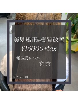 ヴィオラスバイポッシュ ギンザ(Violus by Posh GINZA) 美髪矯正by縮毛矯正（アルカリ矯正）