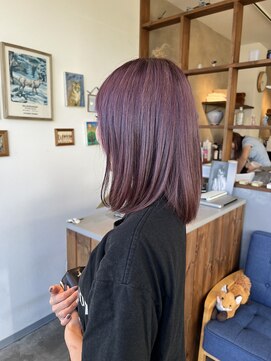 トリスター(TREASTAR) パープルカラー