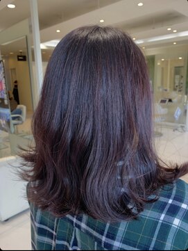 モードケイズ 松原店(MODE K's) カシスヴァイオレット