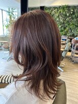 インデペンデンス(independence)&nbsp;ミディアム×レッドブラウン