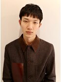 ブリティッシュショート (masaki)