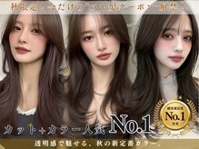 レビジュヘアー(LEVIJU HAIR)