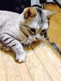 メランジュ(Melange) 加藤 秀樹
