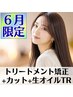 ★6月限定★トリートメント矯正+カット+生オイルTR これからの時期に◎
