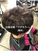 白髪改善「ワダカラー」
