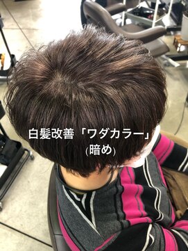 バグジー 黒崎(BAGZY) 白髪改善「ワダカラー」